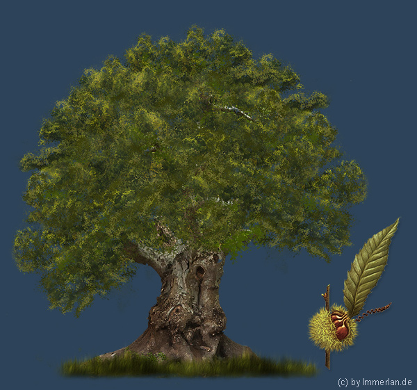 Maronenbaum oder Edelkastanie
