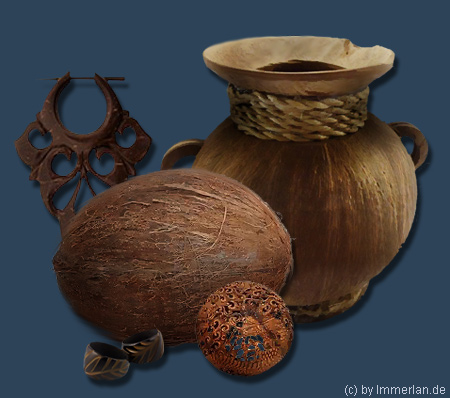 Kokosschalen und Kokosfasern